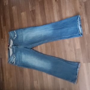 Torrid Boot Cut Jeans